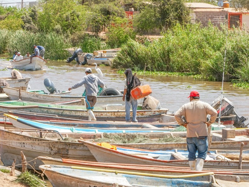 Apoyos de Bienpesca, un respiro para pescadores de la ZN