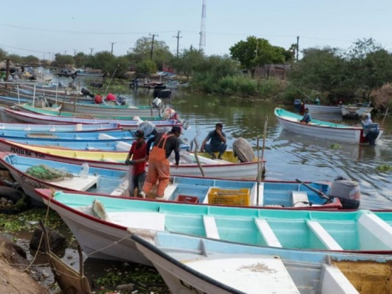 Apoyos para pescadores por los 54 millones de pesos