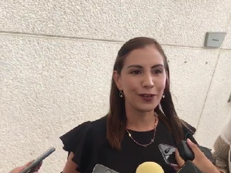 Aprobar ley de amnistía sería un retroceso;Elsa Méndez