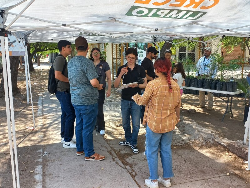 Aprovechan hermosillenses la Feria del Árbol para recibir plantas nativas