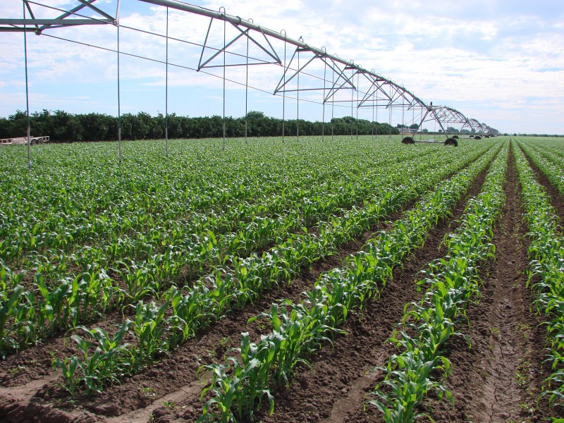 Aprueba Conagua volumen de agua para ciclo agrícola