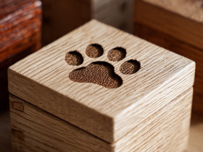 Aprueban construcción de una Funeraria para mascotas en Los Cabos