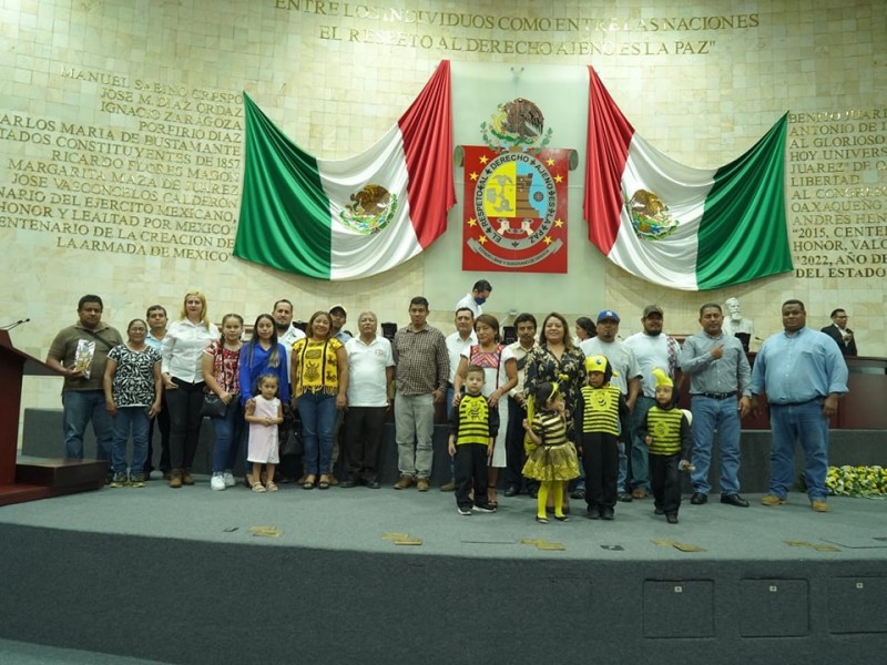 Aprueban ley de protección a polinizadores en Oaxaca