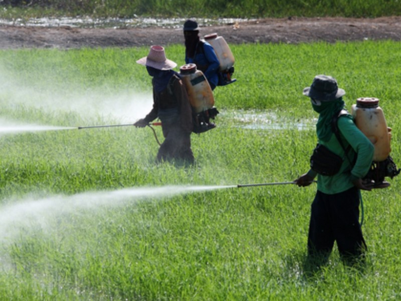 Agricultores de Sonora reciben sorpresa navideña, el congreso autorizó un nuevo impuesto