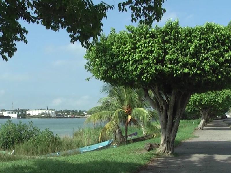 Aprueban nuevo reglamento de Medio Ambiente en Tuxpan