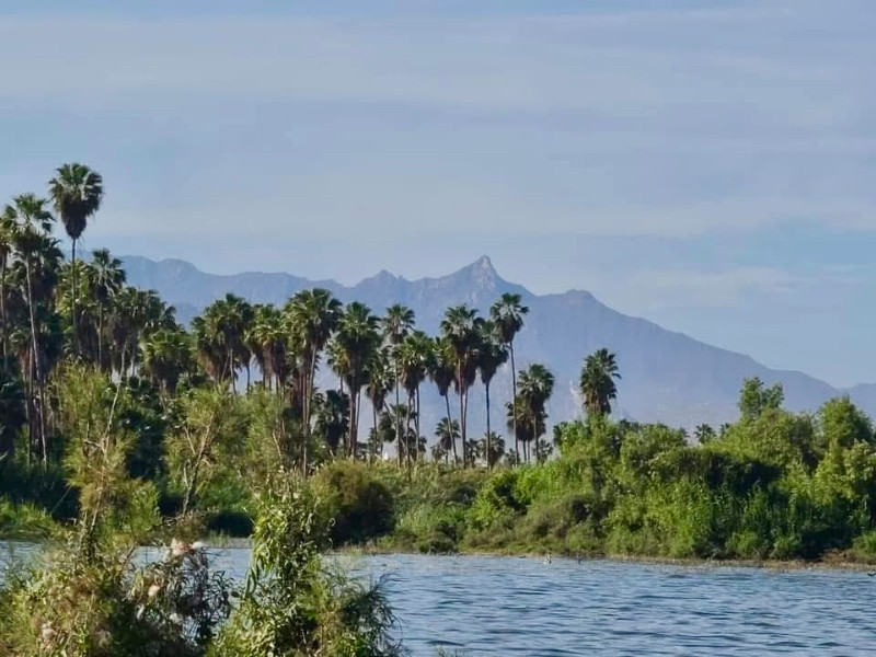 Aprueban plan de regeneración del Estero Josefino para los próximos 5 años