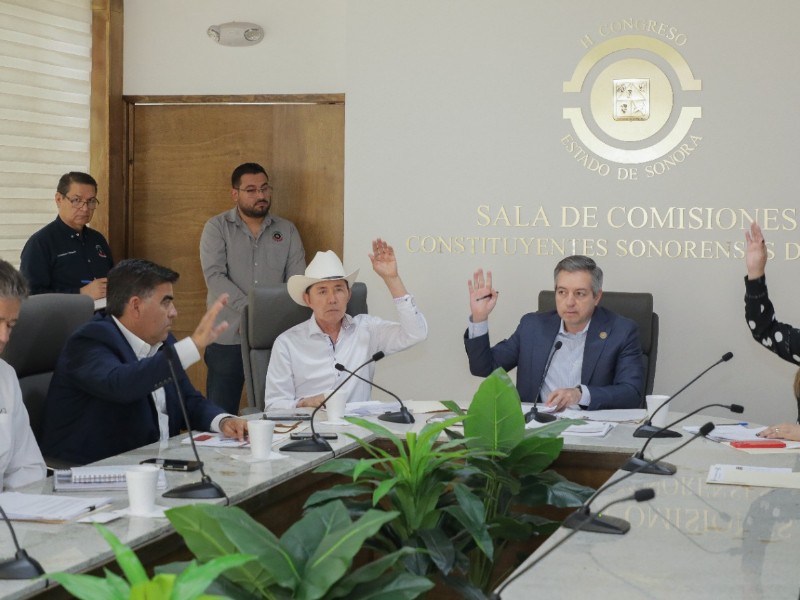 Sólo plantas nativas en municipios, reforma por crisis del agua
