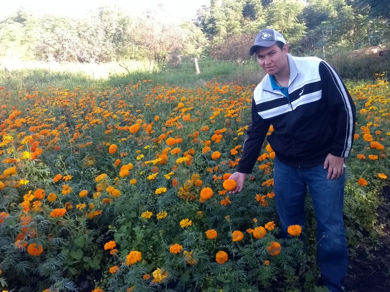 Apuestan productores jaconenses por cultivo de cempasúchil