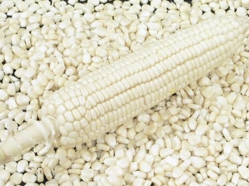 Aranceles al maíz afectarán a productores veracruzanos