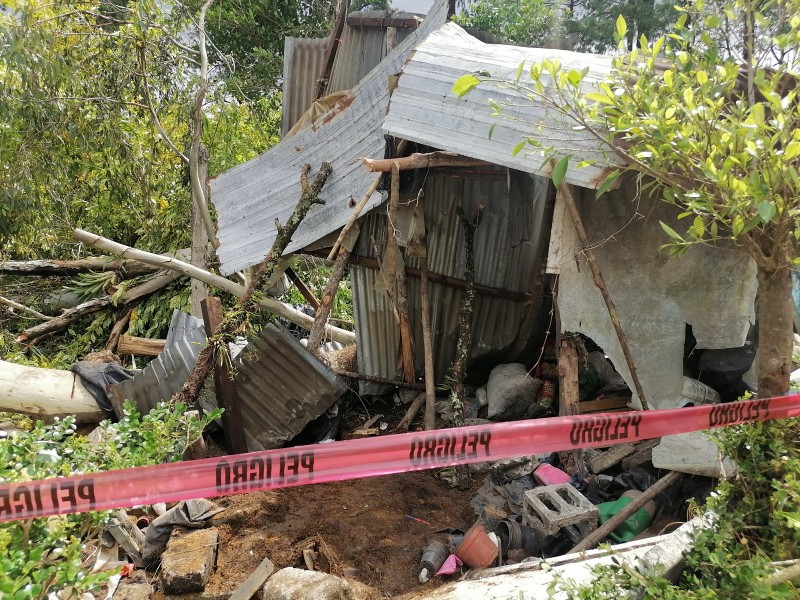 Árbol cae sobre vivienda  y hombre pierde la vida