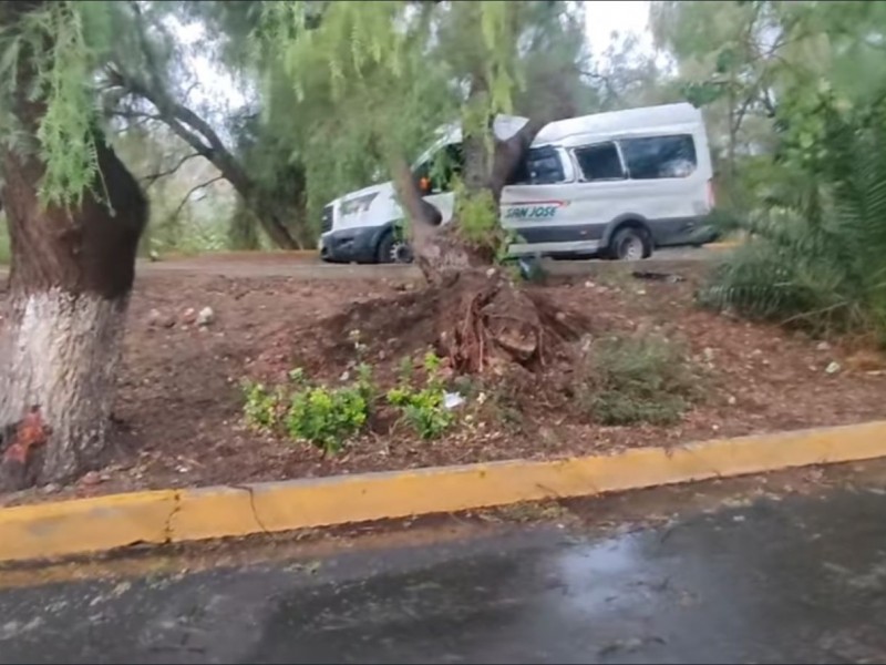 Árbol cayó sobre una camioneta de transporte de pasajeros