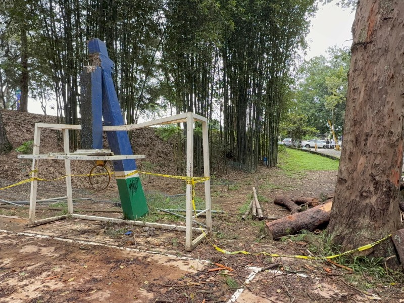 Árbol daña cancha en Arquitectura-UV