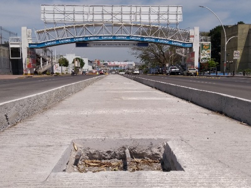 Arbolado nativo será obligatorio en la obra pública