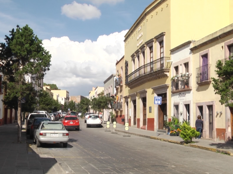 Arbolado urbano; elemento importante para la protección del medio ambiente