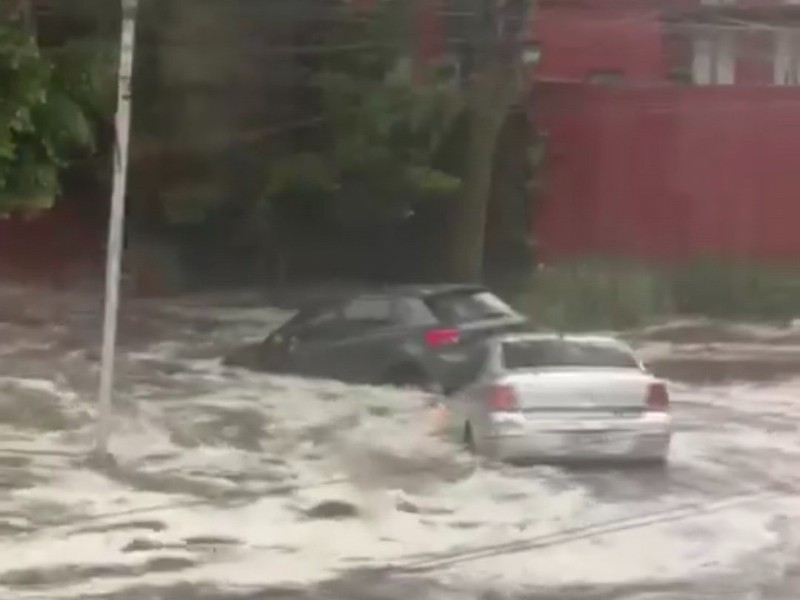 Árboles caídos e inundaciones con cuantiosos daños por lluvias en CDMX