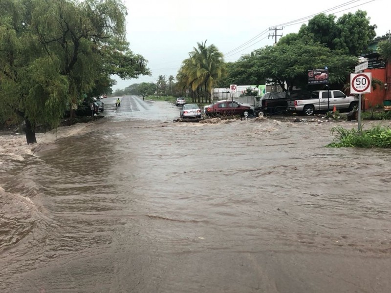 La tormenta deja 39 árboles caídos e inundaciones