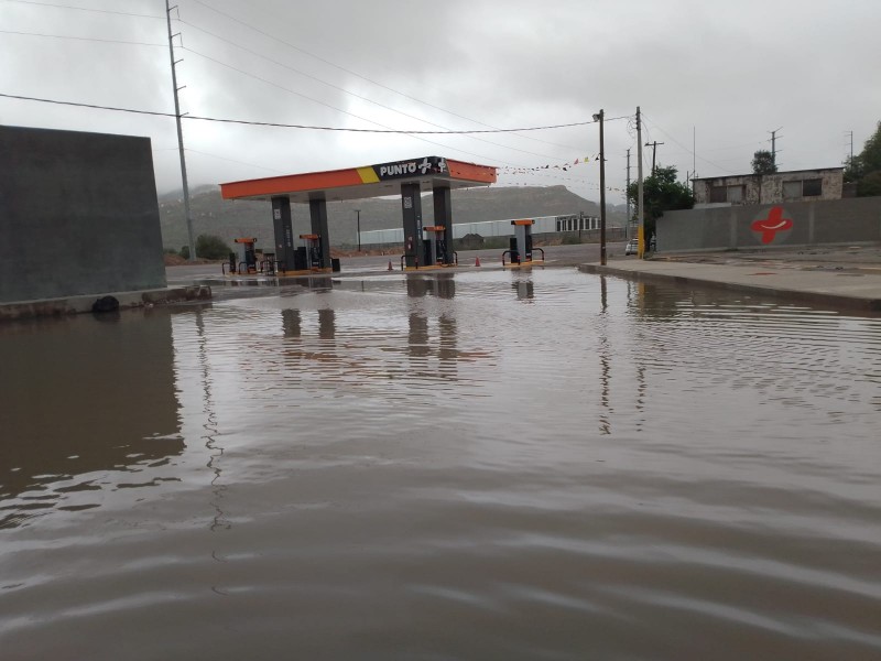 Árboles caídos y anegaciones fue el saldo de las lluvias en Gómez y Lerdo
