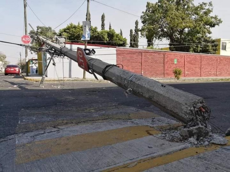 Árboles caídos y cortes de energía eléctrica dejan fuertes vientos