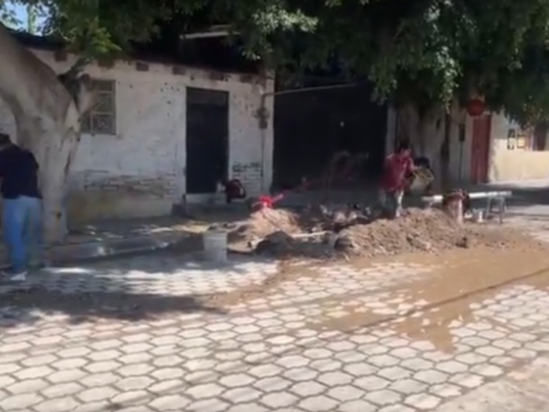 Árboles revientan tuberías de agua en domicilios