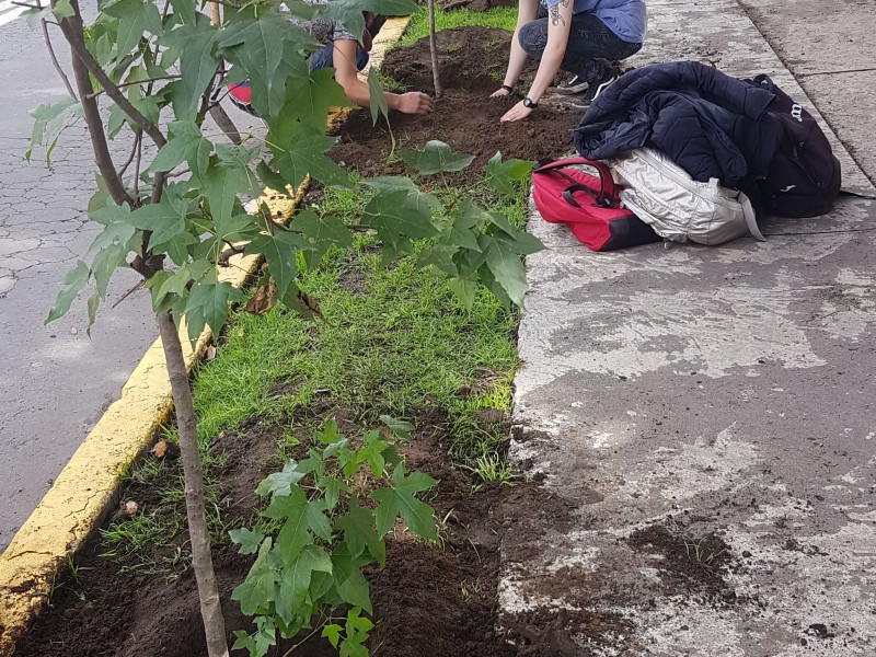 Arboliza UAEM la calle Jesús Carranza en Toluca