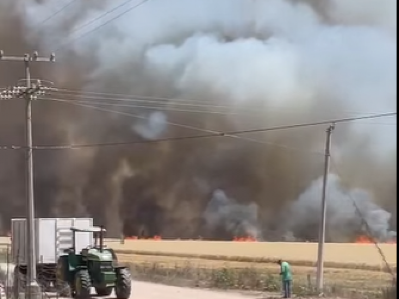 Arde el Valle del Yaqui por voraz incendio