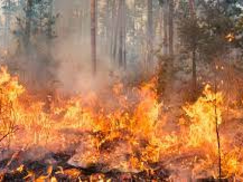 Arden miles de hectáreas en Siberia