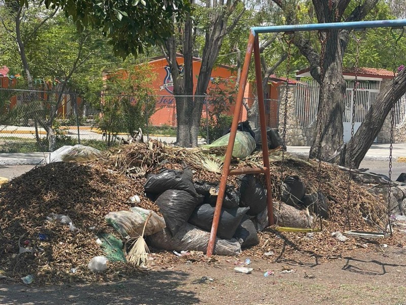 Áreas verdes con importante acumulación de basura