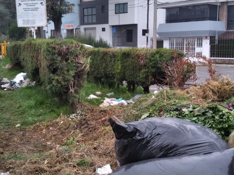 Áreas verdes en Toluca convertidas en tiraderos de basura