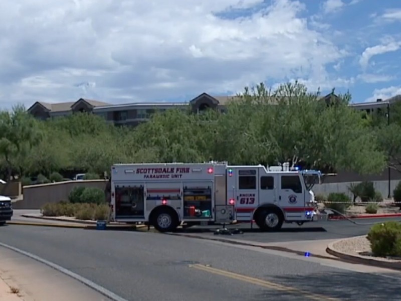 Arizona el Estado con el mayor registro de personas atropelladas