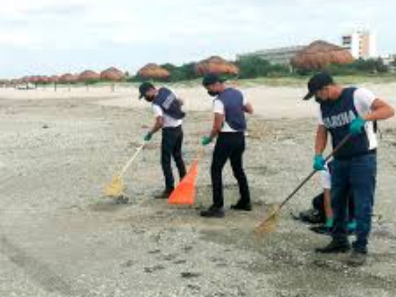 Armada de México limpia playas en Guaymas