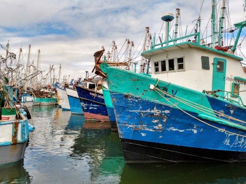 Armadores listos para la temporada del camarón en alta mar