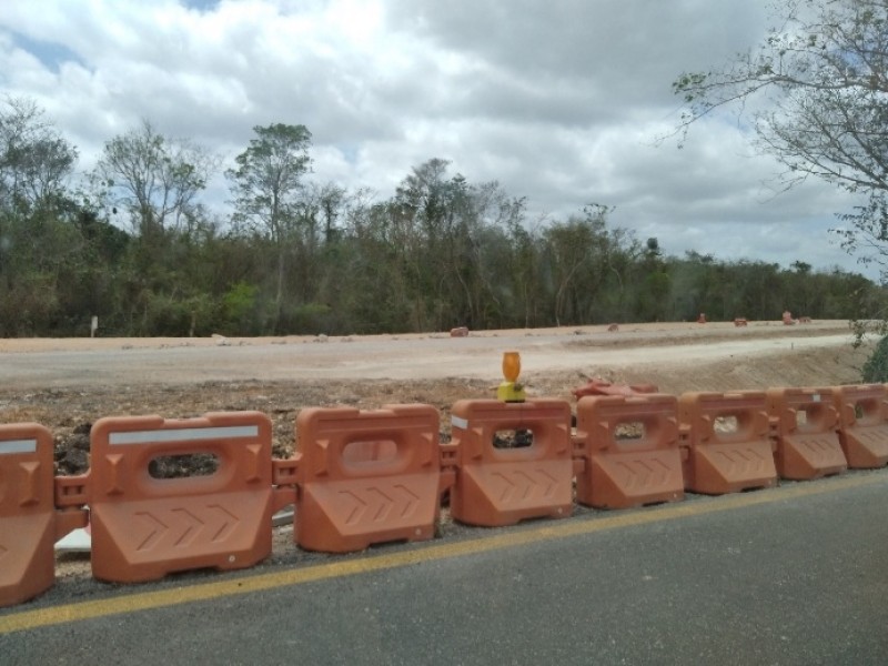 Arqueólogos egresados Unicach trabajan en Tren Maya