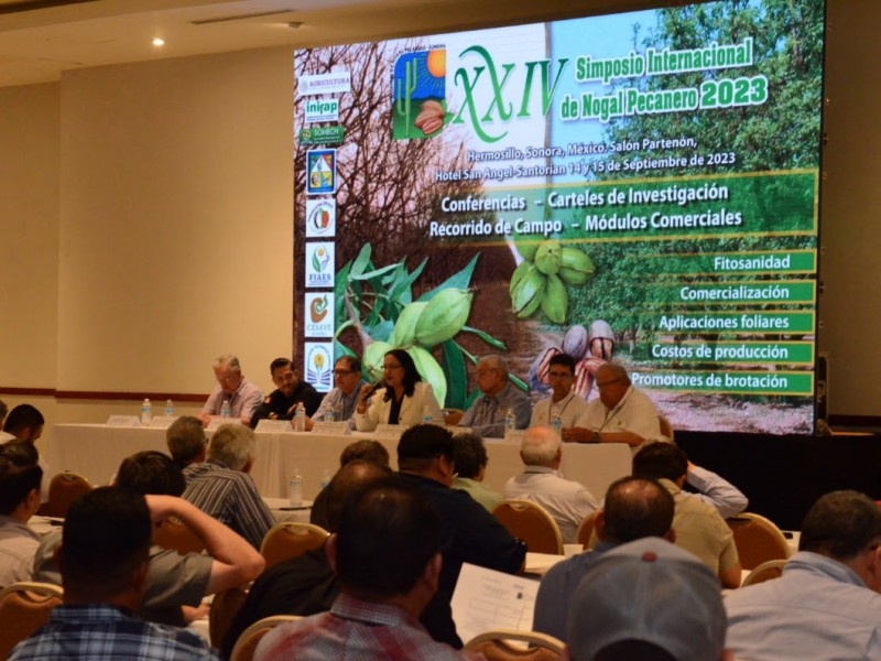 Arranca 24 Simposio internacional de nogal pecanero