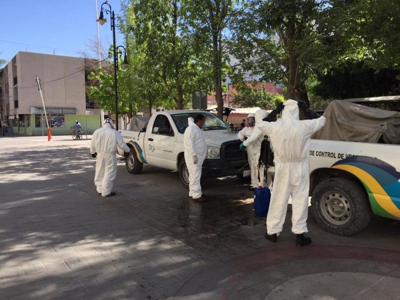 Arranca acciones contra Aedes Aegyptis.