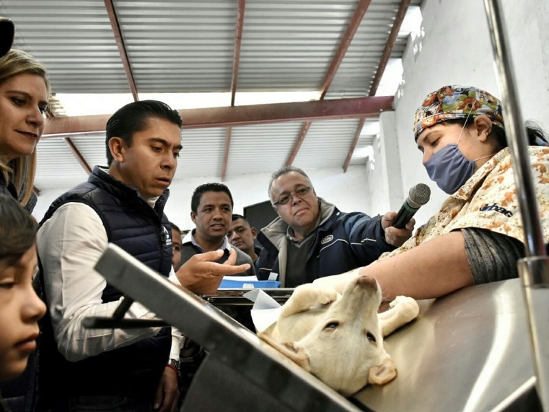 Arranca campaña de esterilización en Corregidora