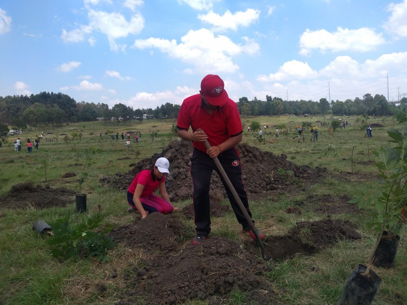 Arranca campaña de reforestación masiva en Alameda 2000