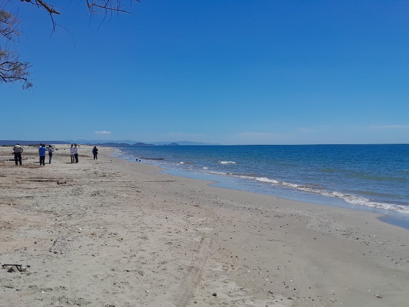 Invertirán más de 500 MDP en Malecones Turísticos en Empalme y SanCarlos