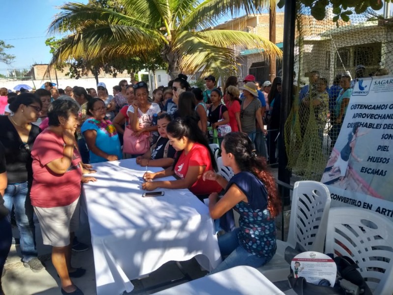 Arranca empleo temporal en Mazatlán