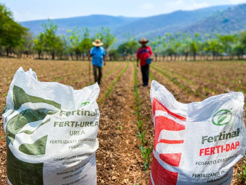 Arranca en Guasave el programa Fertilizantes para el Bienestar 2025