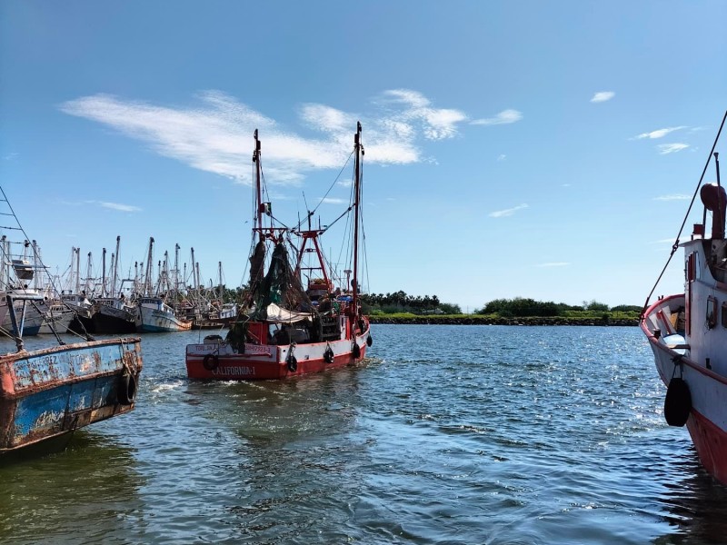 Arranca pesca de camarón en altamar