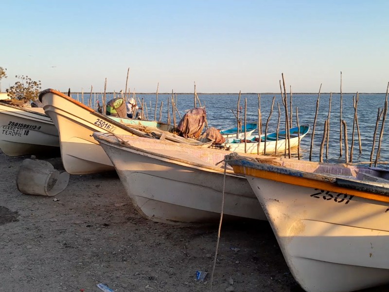 Bajas capturas en primer día de pesca en Guasave