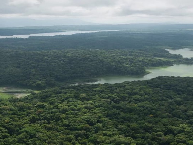 Arranca proyecto de cuenca en la selva Lacandona
