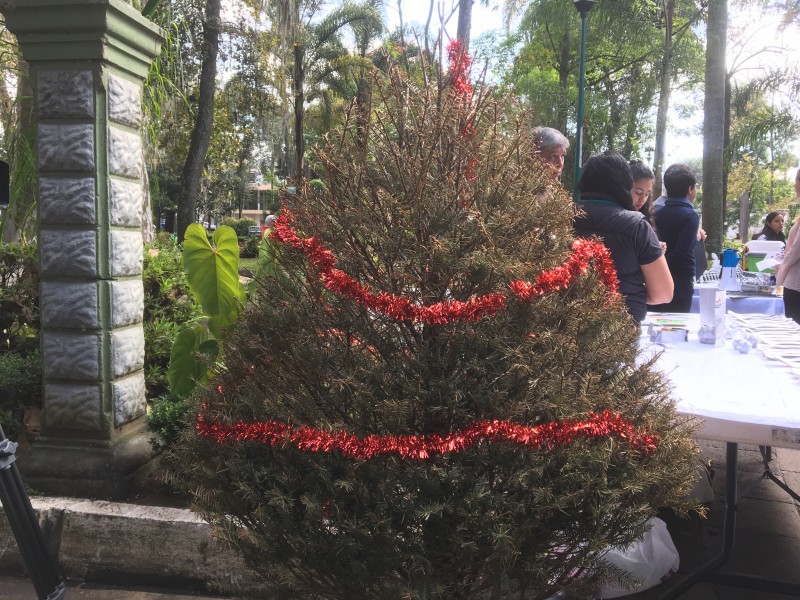 Arranca “Recicla tu navidad”