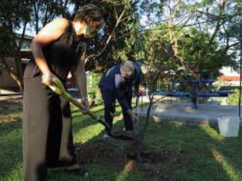 Arranca reforestación en la UAQ