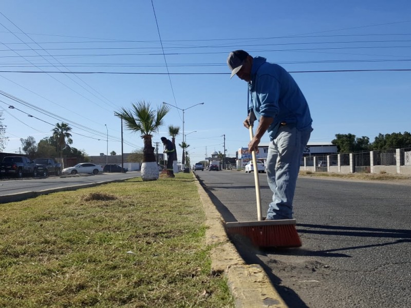 Arranca rehabilitación de camellones por la calle 12