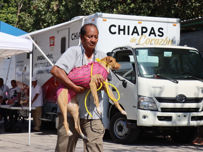 Arranca Secretaría de Salud campaña de esterilización canina y felina