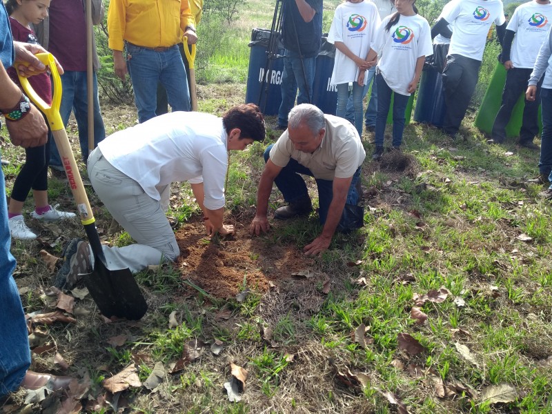 Arranca Semadet reforestación en el cerro del Tepopote