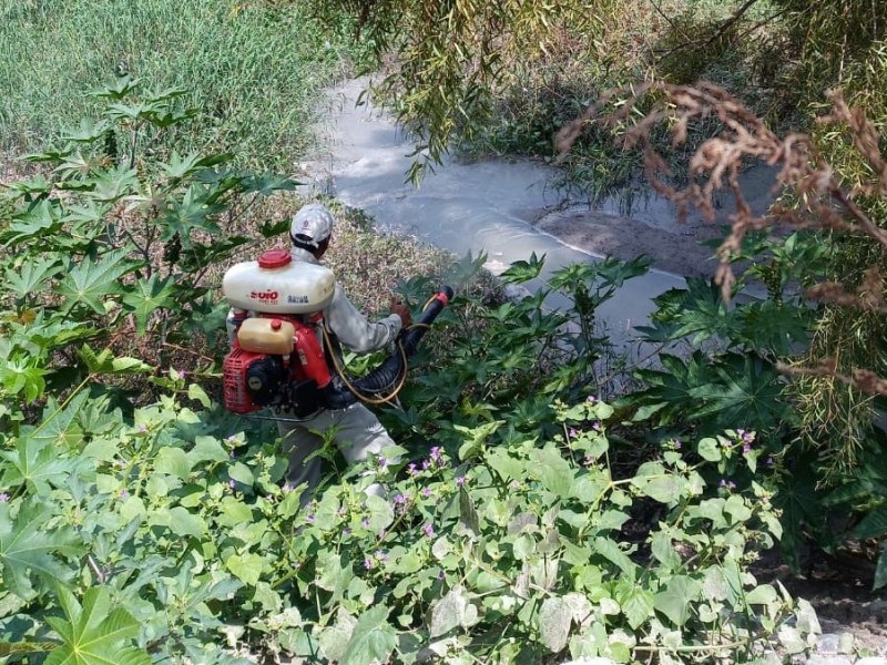 Arrancan acciones contra el Dengue en Morelia