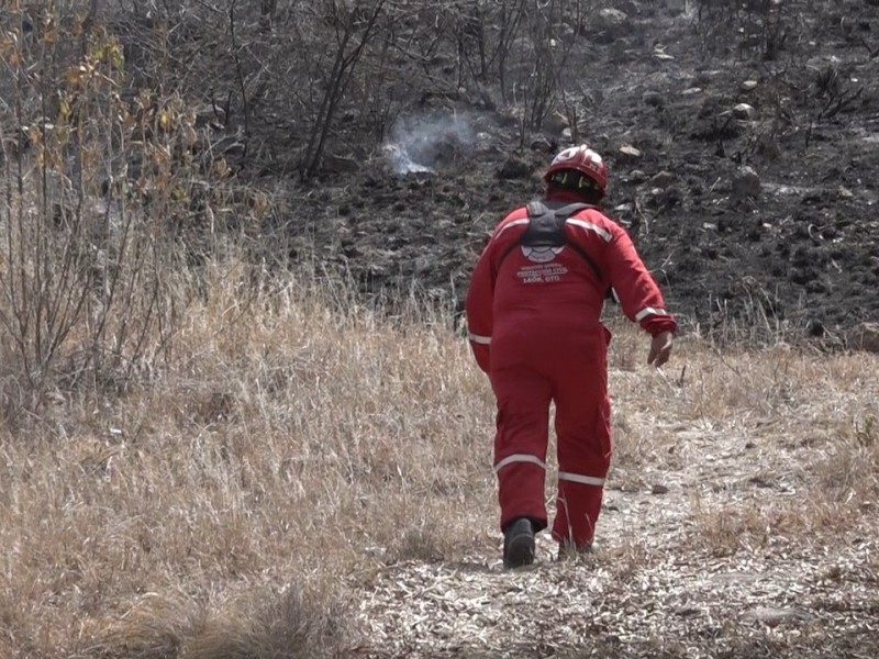Arrasa incendio con 100 hectáreas de Sierra de Lobos
