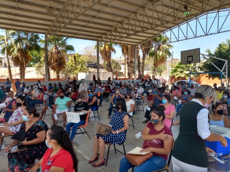 Arriba tarde biológico a módulos de vacunación